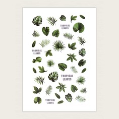 1 лист Стикер для дизайна ногтей с рисунком растений Shein