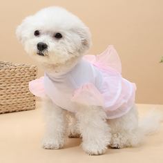 Одноцветный Платья для домашних животных Shein