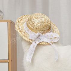 Шляпа Головной убор для домашних животных Shein