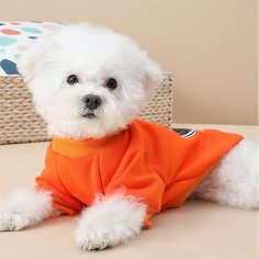 графический принт Свитшоты и худи для домашних животных Shein
