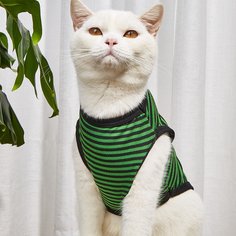 Майка для домашних животных в полоску Shein
