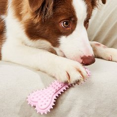 Жевательная игрушка для домашних животных в форме кости Shein