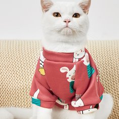 Мультяшный принт Свитшоты и худи для домашних животных Shein