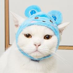 Шляпа Мультяшный принт Головной убор для домашних животных Shein