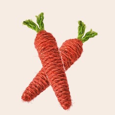 Жевательная игрушка для домашних животных в форме моркови 2шт Shein