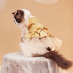 Одноцветный Платья для домашних животных Shein