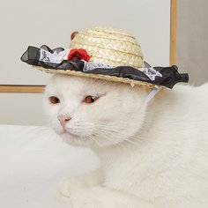 Шляпа Головной убор для домашних животных Shein