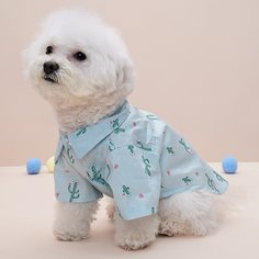 Растения Рубашки для домашних животных Shein