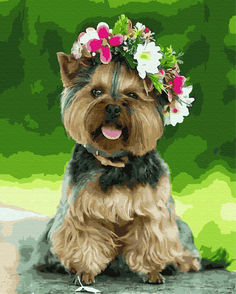 Картина по номерам Paintboy Original GX27991 "Йоркширский терьер с венком" 40х50см
