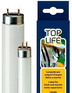 Люминесцентная лампа для аквариума Ferplast Aquasky, 36Вт, цоколь G13, 120 см