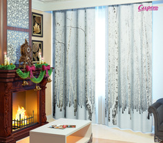 Фотоштора Сирень srn215609 серый 145х260