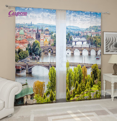 Фотоштора Сирень srn215445 разноцветный 145х260