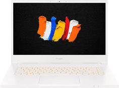 Ноутбук Acer ConceptD 3 CN315-72-746N (NX.C5WER.002)