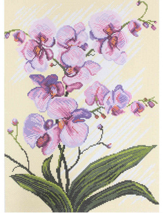 Канва с рисунком Матренин посад Орхидеи,композиция33*45см.(37*49см) 1317