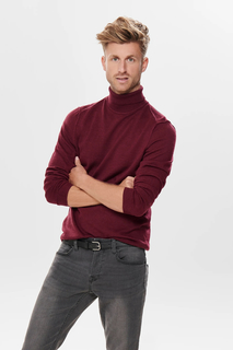Водолазка мужская ONLY & SONS 22014163 бордовая 48