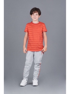 Брюки с подрезами Choupette 494926 цв.серый р.110