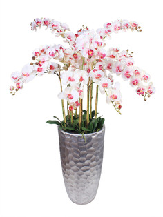 Орхидея 11 веток в большом высоком керамическом кашпо Конус, Gerard de ros