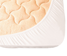 Наматрасник-чехол непромокаемый LUXBERRY DEFENCE 160х200