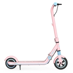 Электрический самокат Ninebot by Segway