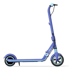 Электрический самокат Ninebot by Segway