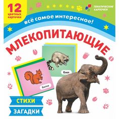 Плакат Издательство Учитель Млекопитающие: 12 развивающих карточек с красочными картинками, стихами и загадками для занятий с детьми