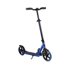 Двухколесный самокат Maxiscoo L205