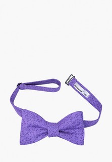 Бабочка Rainbowtie