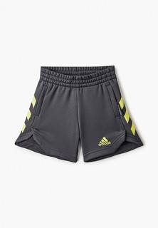 Шорты спортивные adidas