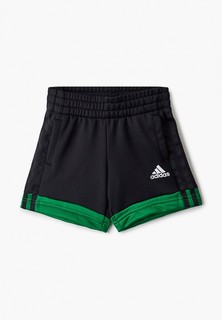 Шорты спортивные adidas