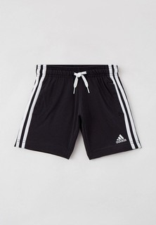 Шорты спортивные adidas