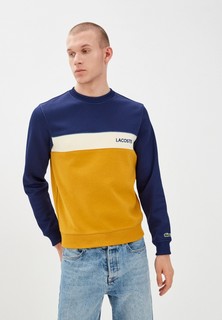 Свитшот Lacoste
