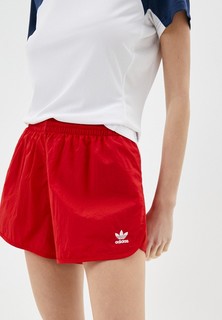 Шорты спортивные adidas Originals