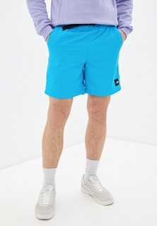 Шорты спортивные The North Face