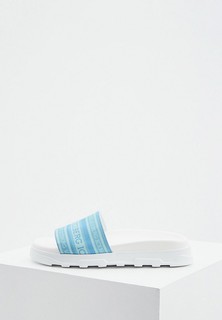 Сланцы Iceberg