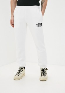 Брюки спортивные The North Face