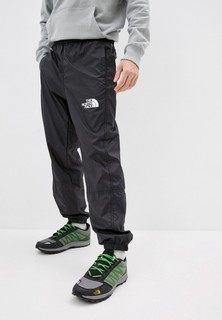 Брюки спортивные The North Face
