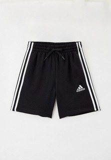 Шорты спортивные adidas