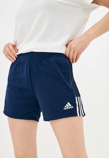 Шорты спортивные adidas