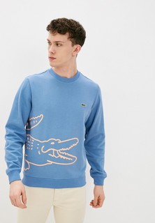 Свитшот Lacoste