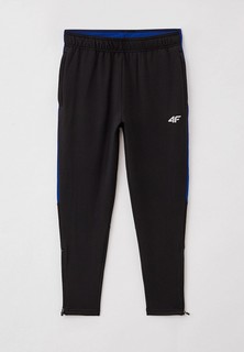 Брюки спортивные 4F