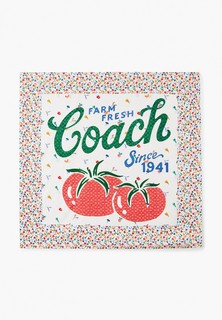 Платок Coach