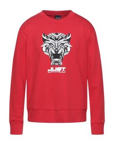 Толстовка Just Cavalli