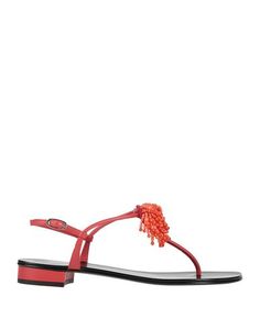 Вьетнамки Giuseppe Zanotti