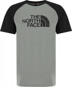 Футболка мужская The North Face Raglan Easy, размер 52-54