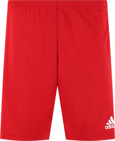 Шорты мужские adidas Squadra 21, размер 44-46