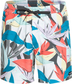 Шорты мужские Quiksilver, размер 52-54