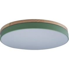 Светильник Loft IT Потолочный светодиодный Axel 10001/36 green