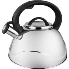 Чайник со свистком Webber 2.5 л (BE-0524)