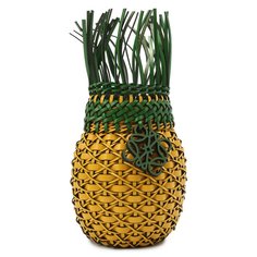 Сумка Fruit Loewe x Paulas Ibiza Loewe