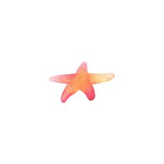 Скульптура Морская звезда Coral Sea Daum